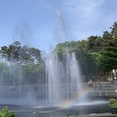 성남시청 (광장, 분수대) | 성남 시청 공원 둘레길 산책해요