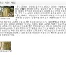 홍촌마애승상 이미지