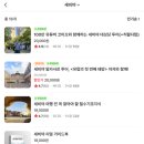 이&강라이브카페 | [스페인 모녀여행]10박 12일 자유여행 EP3. 세비야 (feat. 투어라이브)