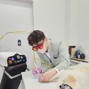 청아동물병원 이미지