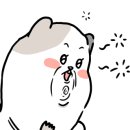 사가정로51길 (30) 이미지