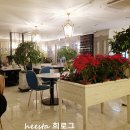 카페로즈모스