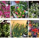 지영이네 이미지