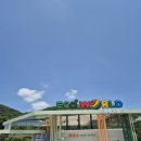 경북재생자원 | [문경] 경북투어패스 이용해서다녀 온 문경 아이랑 여행 "에코월드" 내돈내산 찐 강추!!!