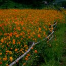 삼기 삼거리 이미지