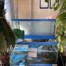 가마솥민물추어탕매운탕 | [대학동 맛집] 명운추어탕메기매운탕 본점 후기