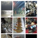 바람아래솔 이미지