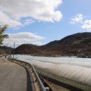 이정길농장 이미지