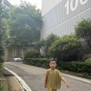 핍팝포