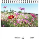 구로4동 자치회관 이미지