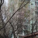 마재근린공원 이미지