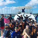 찰스닷컴 | 🐬 괌 찰스 돌핀크루즈 2+1 완벽 후기 | 괌 돌고래 투어 이렇게 즐겨야 진짜예요 🌊