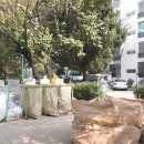 강남골드부동산중개 이미지