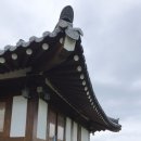 마당한동