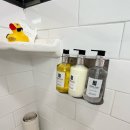 샌프란시스코 챈슬러호텔 Chancellor hotel on Union square 유니온스퀘어근처 위치 좋은 호텔