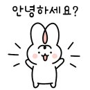 봉구비어 화성향남점