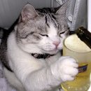 연다라순대 이미지