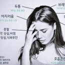 (주)엔지캠생명과학 | 바이오 주식 오늘 왜 30% 폭등했나 — 매미 변이 진짜 위험도와 2020년 함정이 다시 온다