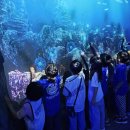 오르다 태권도장 이미지