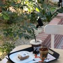 컴포즈커피 과천상상자이점 | 과천 지정타카페 커피 맛집, <펄시커피 과천> 후기