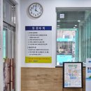 더비경 | 울릉도 꼭 가봐야 할 태하 향목 관광모노레일 대한민국 10대 비경 향목 전망대