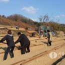 하남면사무소 이미지