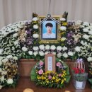 이선호 카카오 검색결과