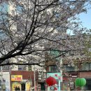 짤노래빠 - 6422 | 짤노래빠