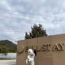 풀스테이 스테이휴 | 강원도 홍천 애견동반 숙소 추천 풀스테이 스테이펫 47평 후기