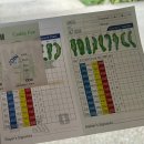 인드라 | [방콕 골프장⛳] 판야 인드라CC 가성비 후기(프리티 캐디, 불상 있는 골프장)