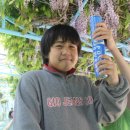 무등초교 이미지