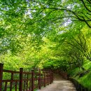 백제가요정읍사오솔길(2코스 내장호 수변데크) 이미지