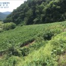 원통초등학교신덕분교장 네이버블로그