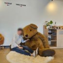 고창 대형카페 들꽃카페 수목원, 폐교에 제주도 감성 한 스푼