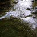 산여울캠핑장 이미지