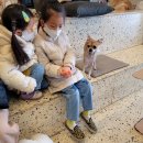 안녕아가 이미지