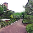 야탑로231번길 이미지