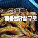 용용불닭발 - 21835 | 금천구닭발 용용불닭발 구로 배달 주문 후기