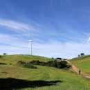 하늘목장 이미지