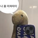 스시큐