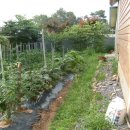 방축마을 이미지