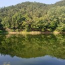 새마음 작은도서관 이미지