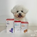 신장쇼핑몰3 | [신시어리] 강아지 항산화제 신장 영양제 '딥케어 레날 써포트' (추천인코드 : WXXSHE)