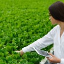 베스트팜 이미지