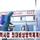 삼향-19 이미지