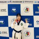 🍎 “제48회 한국대학태권도연맹 회장기 전국태권도대회(품새) 이미지