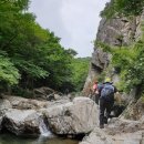 천성탕 | 법수원계곡 산행 (하심 198차) : 급경사 오르막도 함께여서 힘이 난다 (백동저수지 ~ 원적암 ~ 법수원...