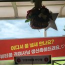 스마트디앤피