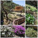 들꽃향기머무는곳 이미지