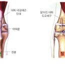 츄츄동물병원 이미지